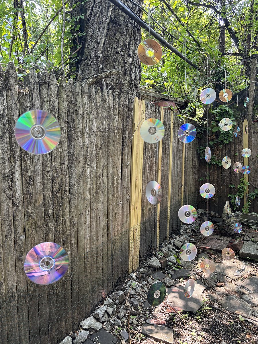 Discs by Ben LaRocco
